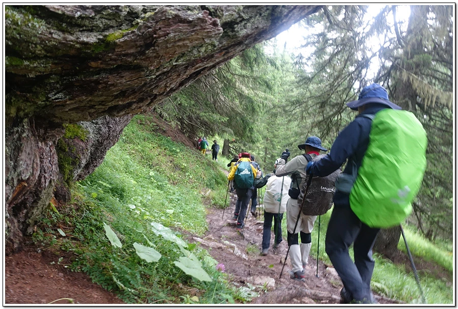 DSC00115.jpg?type=w966&jopt=2