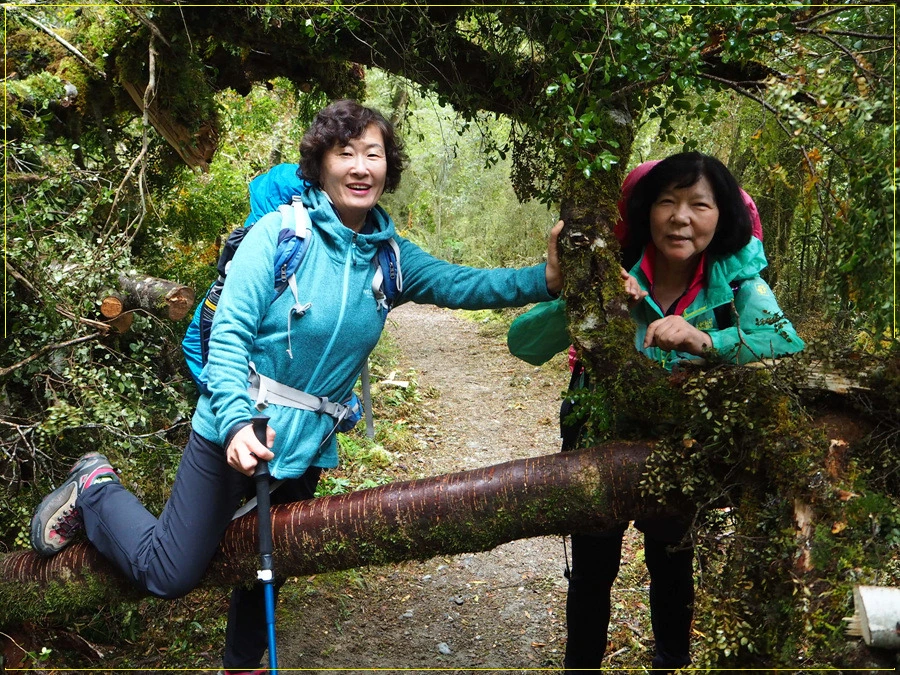 7.jpg?type=w966&jopt=2