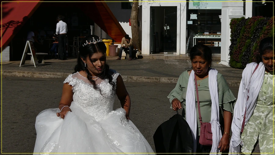 P1011233.jpg?type=w966