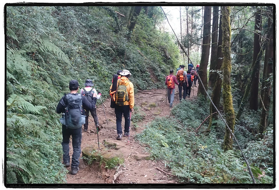 DSC00611.jpg?type=w966