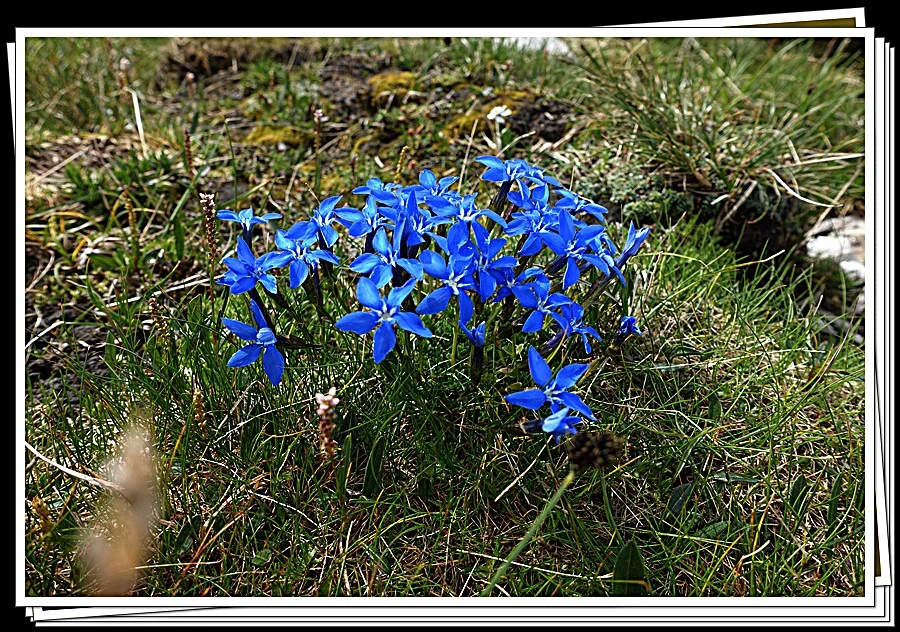 9.jpg?type=w966&jopt=2