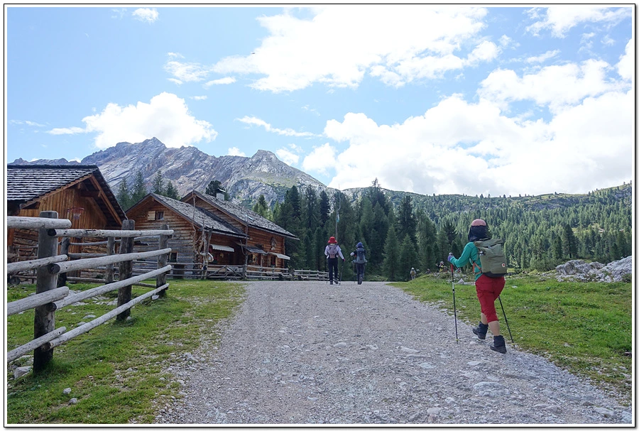 DSC00157.jpg?type=w966&jopt=2