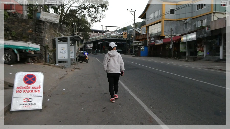 P1011644.jpg?type=w966