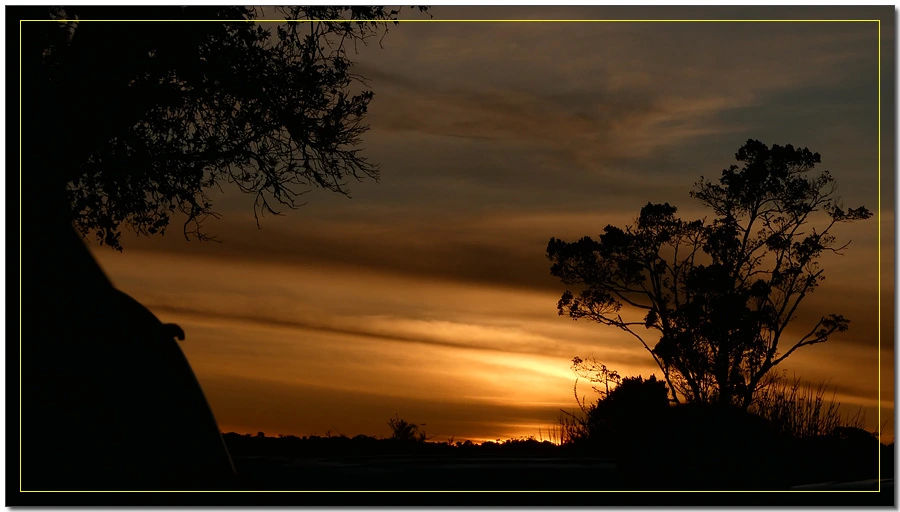 P1011437.jpg?type=w966