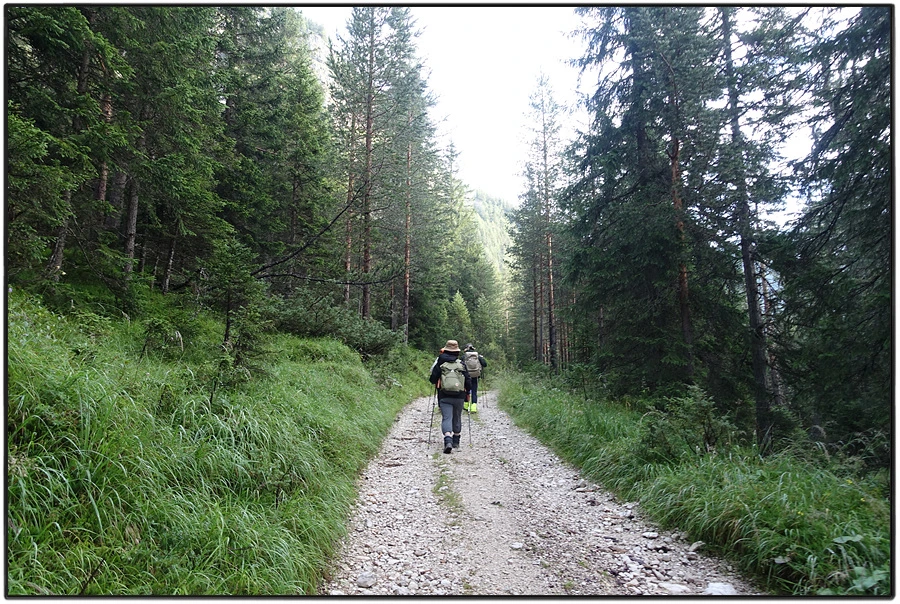 DSC00056.jpg?type=w966&jopt=2