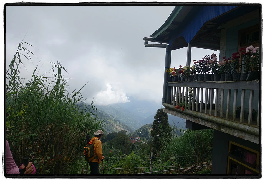 DSC00555.jpg?type=w966