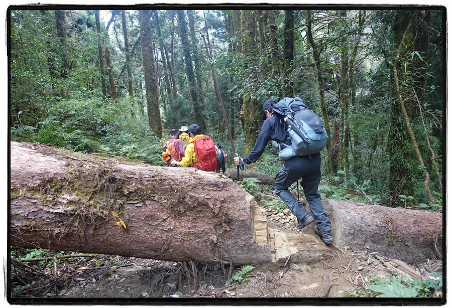 DSC00615.jpg?type=w966