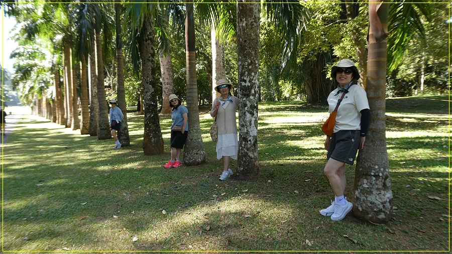 P1011314.jpg?type=w966