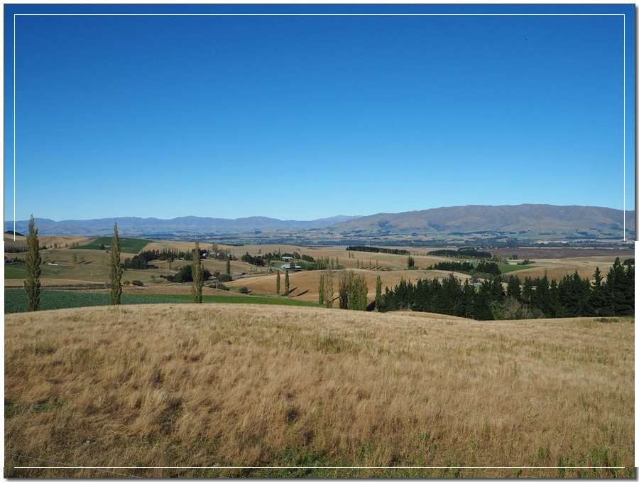 2.jpg?type=w966&jopt=2