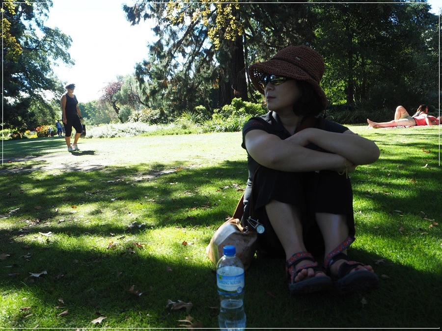 22.jpg?type=w966&jopt=2