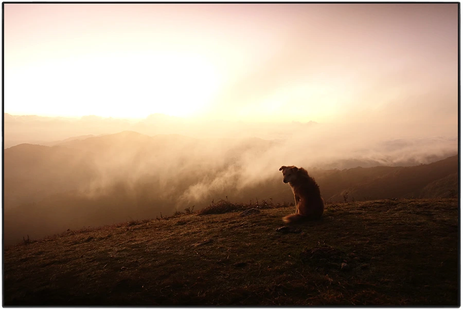 DSC00887.jpg?type=w966