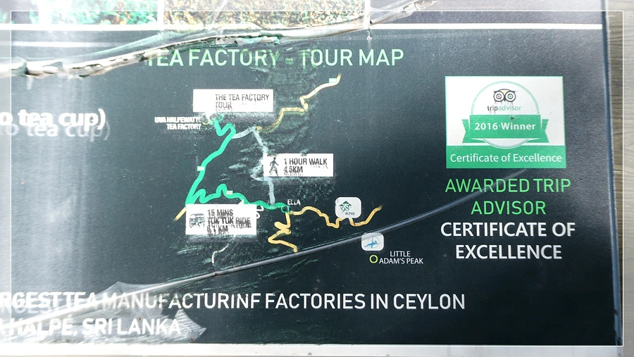 P1011671.jpg?type=w966