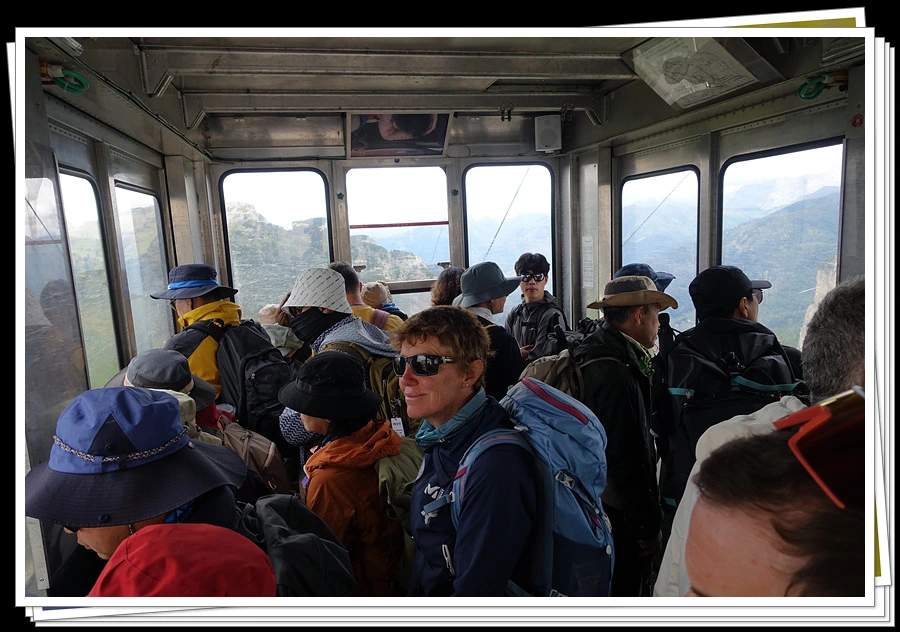 DSC00269.jpg?type=w966&jopt=2