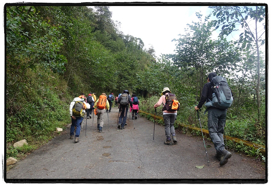 DSC00520.jpg?type=w966