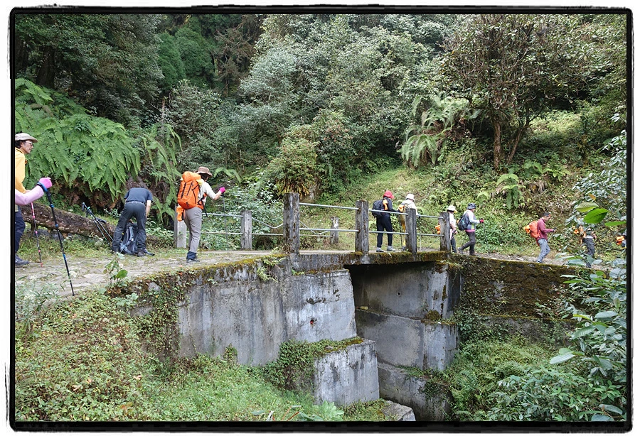 DSC00564.jpg?type=w966