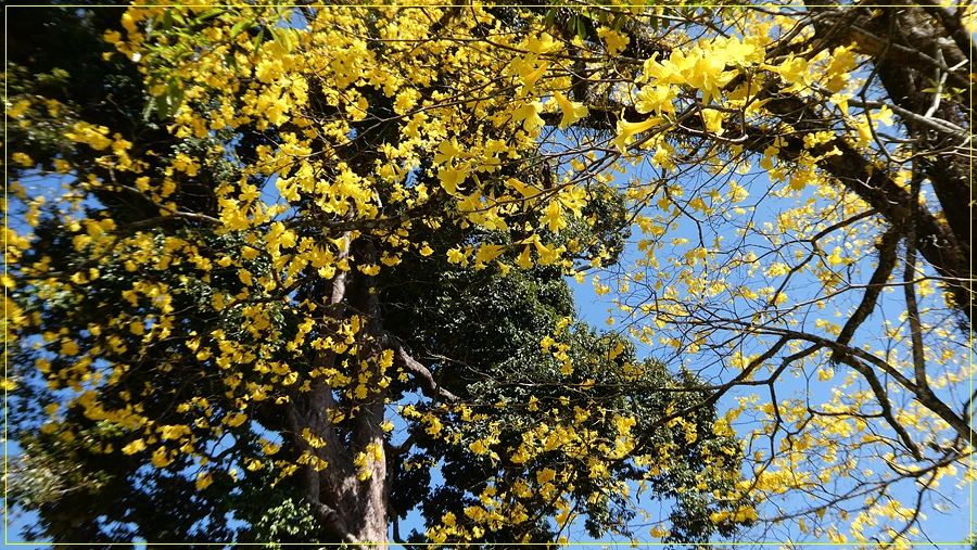 P1011336.jpg?type=w966