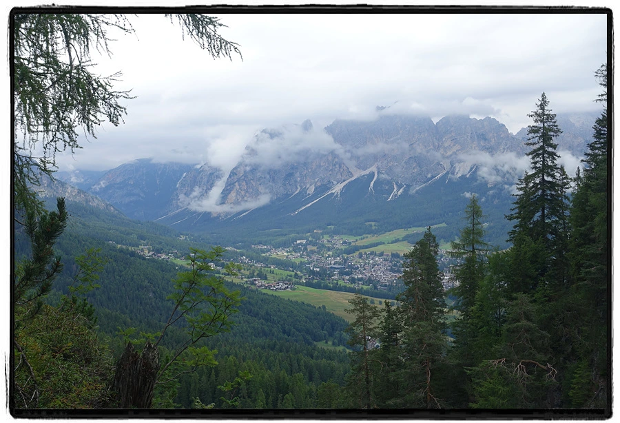 DSC00022.jpg?type=w966&jopt=2