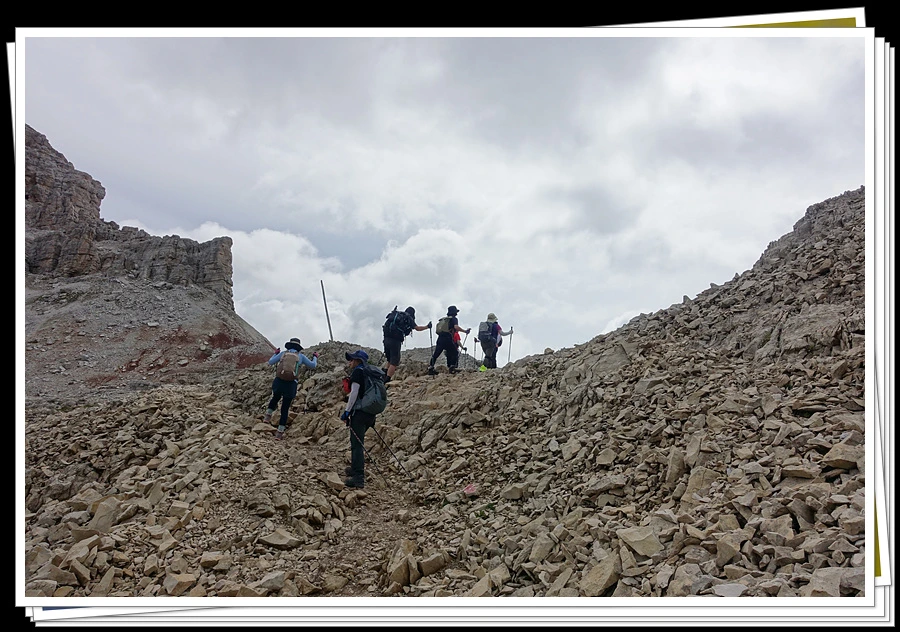 DSC00116.jpg?type=w966&jopt=2