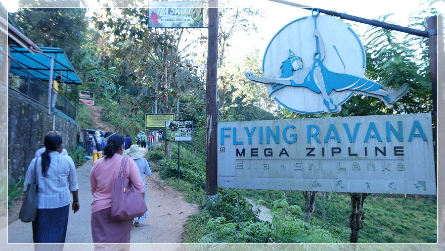 P1011670.jpg?type=w966