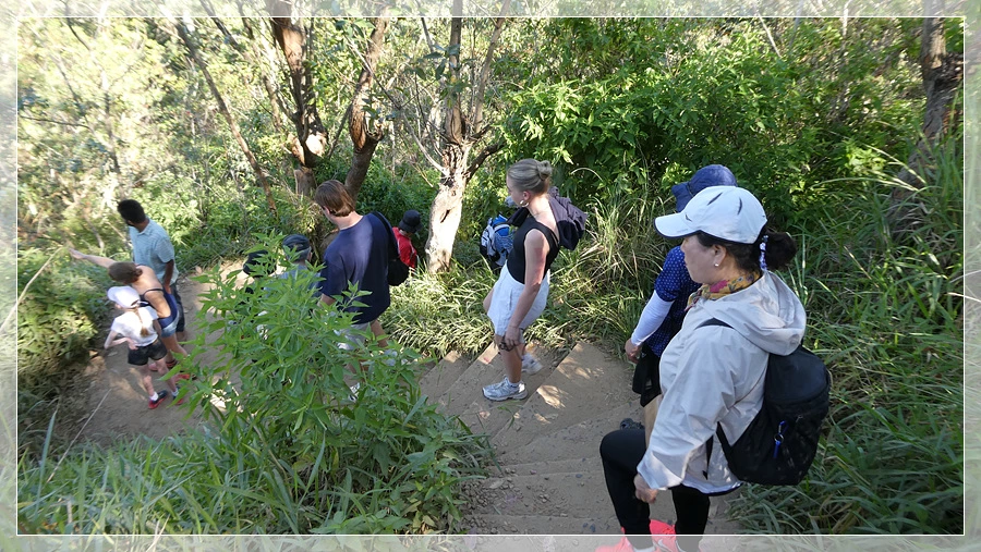 P1011769.jpg?type=w966