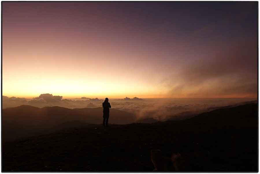 DSC00882.jpg?type=w966