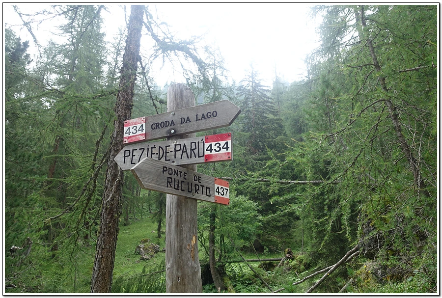 DSC00157.jpg?type=w966&jopt=2