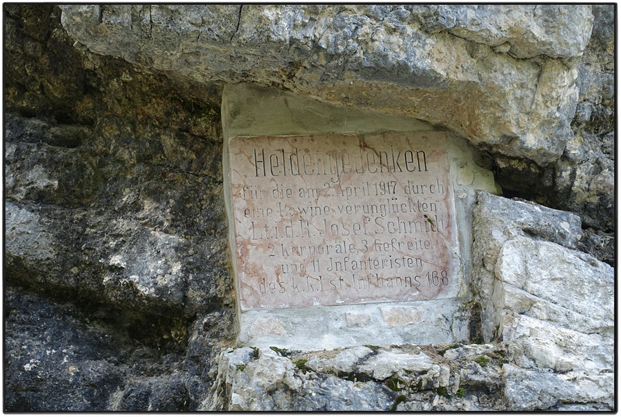 DSC00204.jpg?type=w966&jopt=2