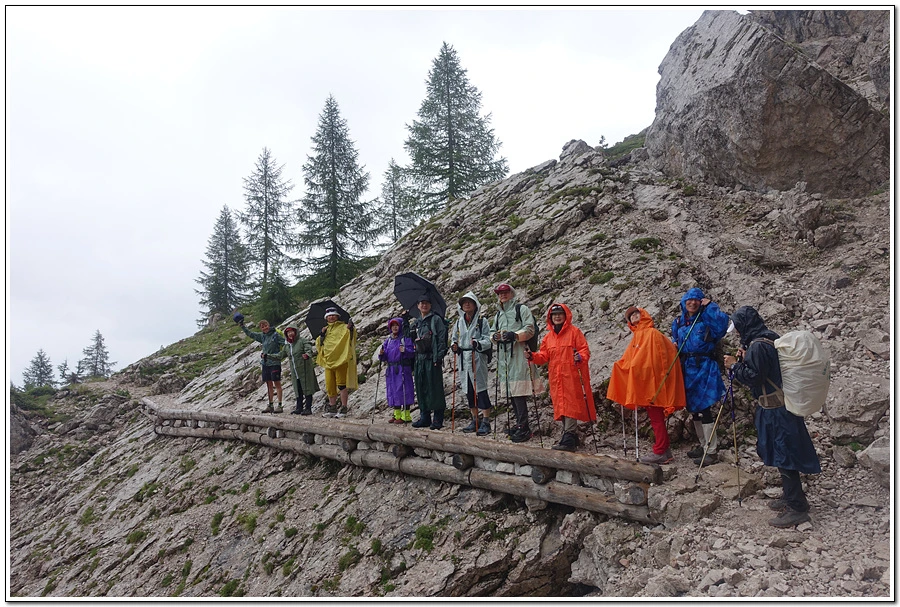 DSC00077.jpg?type=w966&jopt=2