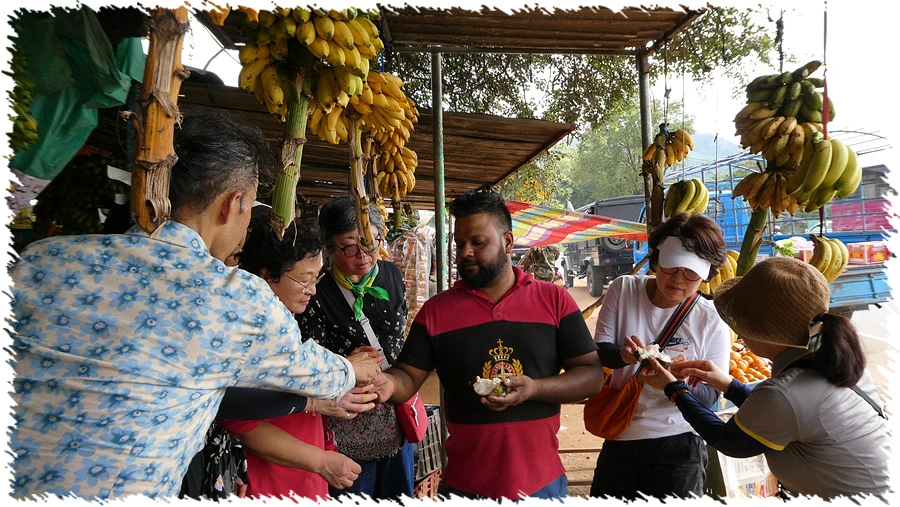 P1010944.jpg?type=w966