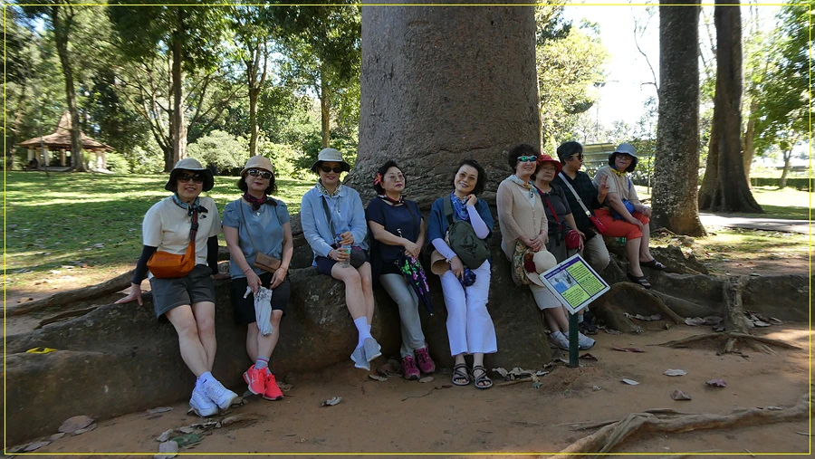 P1011319.jpg?type=w966