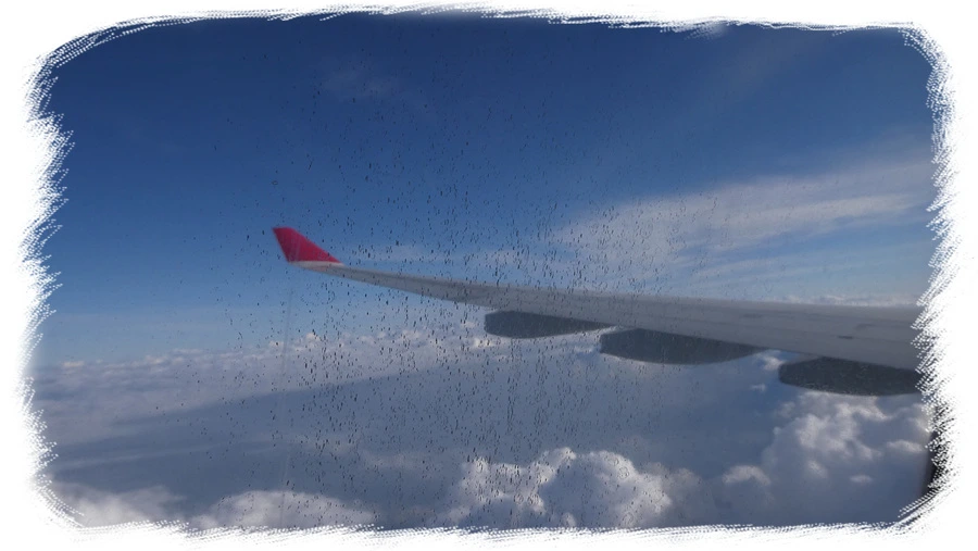 P1010769.jpg?type=w966