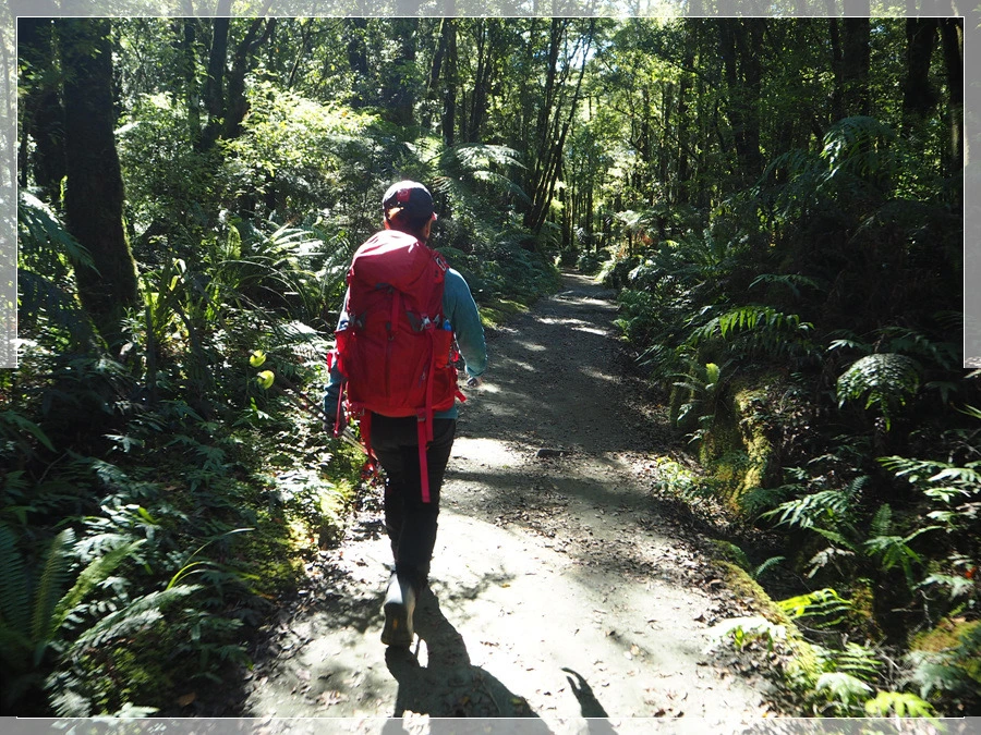 22.jpg?type=w966&jopt=2