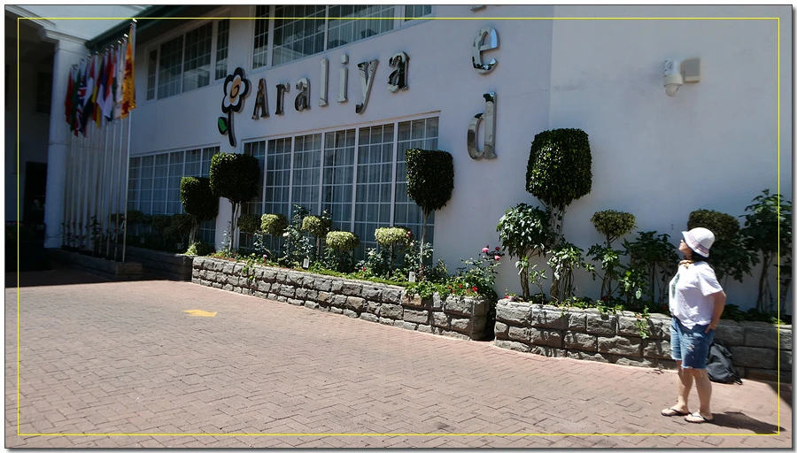 P1011559.jpg?type=w966