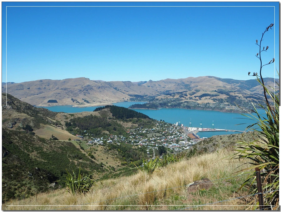 10.jpg?type=w966&jopt=2