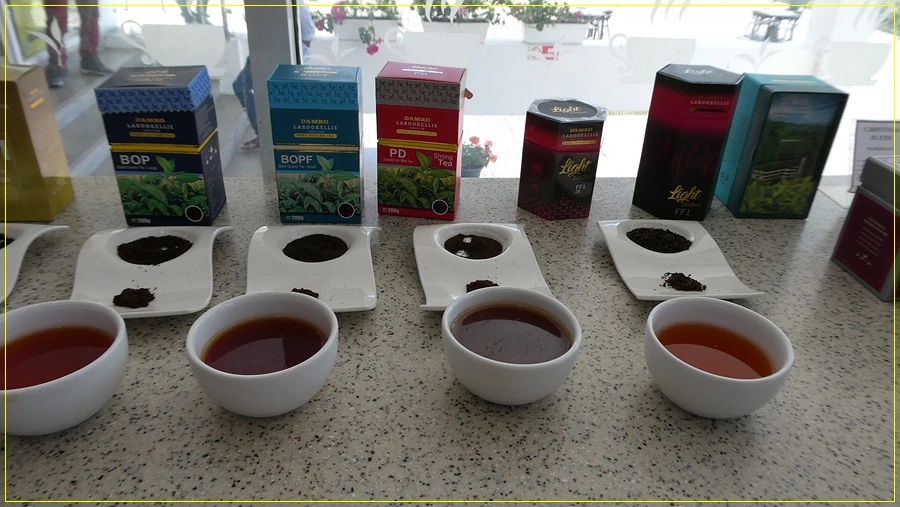 P1011372.jpg?type=w966