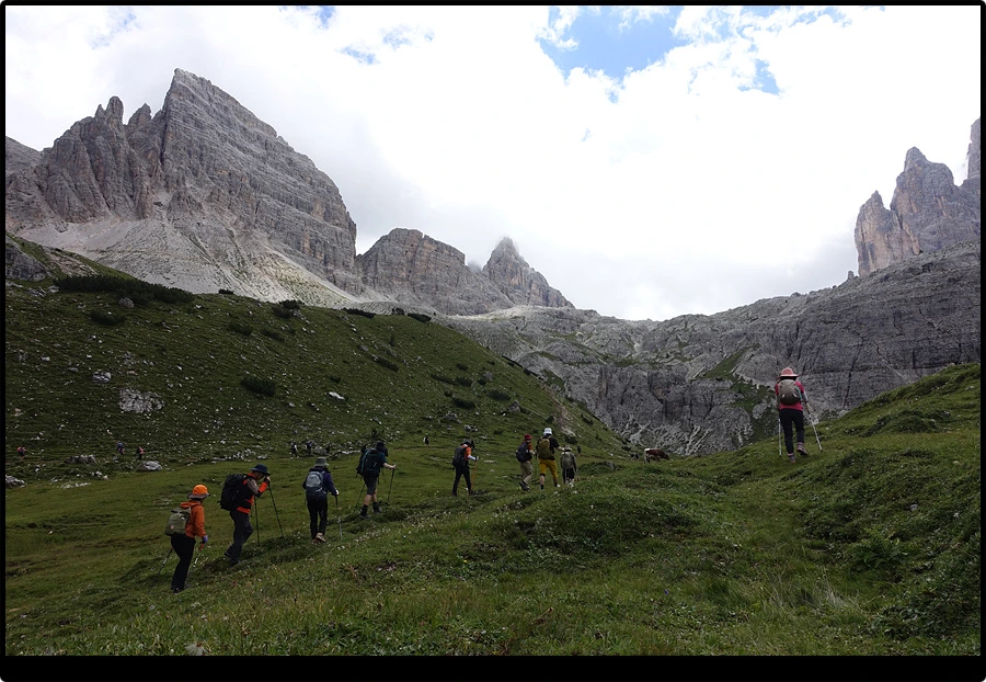 DSC00307.jpg?type=w966&jopt=2