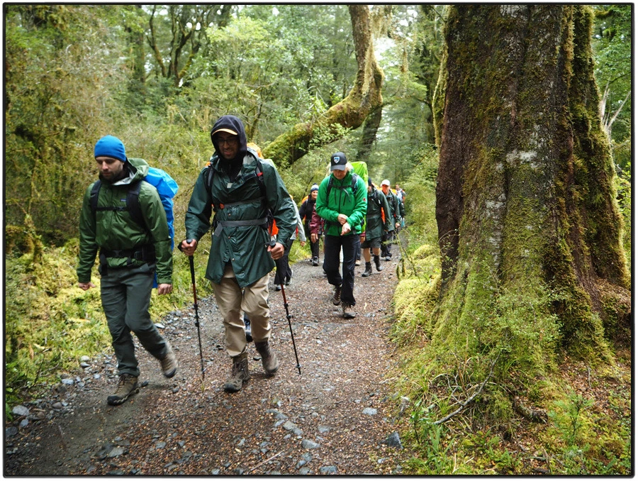 27.jpg?type=w966&jopt=2