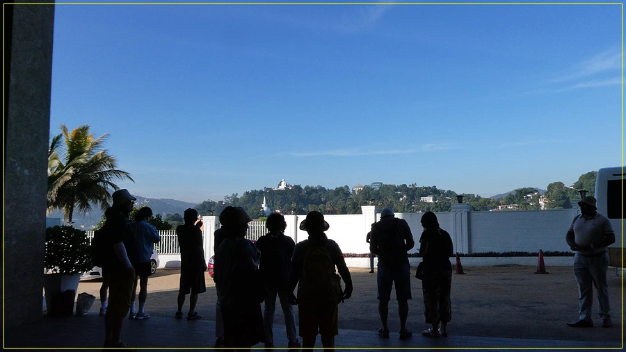 P1011227.jpg?type=w966