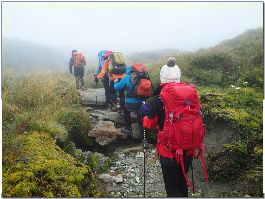 9.jpg?type=w966&jopt=2