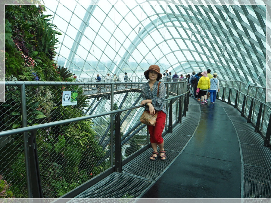 32.jpg?type=w966&jopt=2