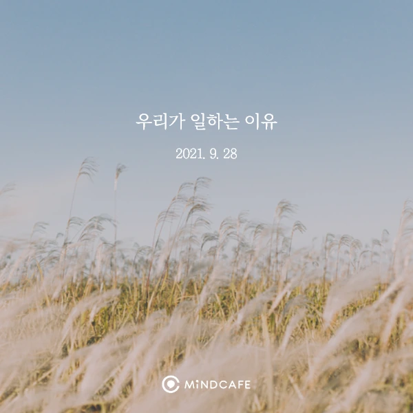 9%EC%9B%945%EC%A3%BC-%EB%A7%88%EB%AC%B4%EB%A6%AC2.png?type=w1