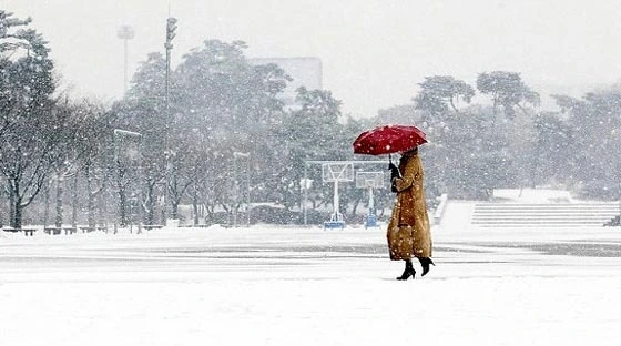 276E4045565704DF3F.jfif