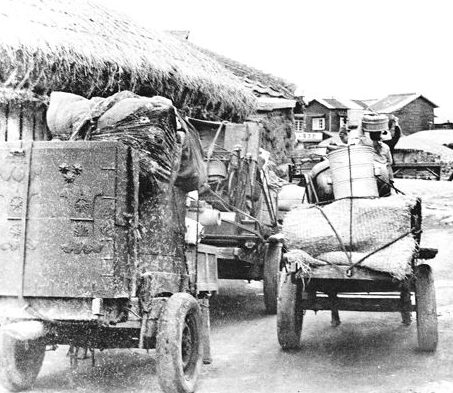 %EC%A0%9C%EC%A3%BC%EB%8F%84_%EC%9D%B4%EC%82%AC.png?type=w966