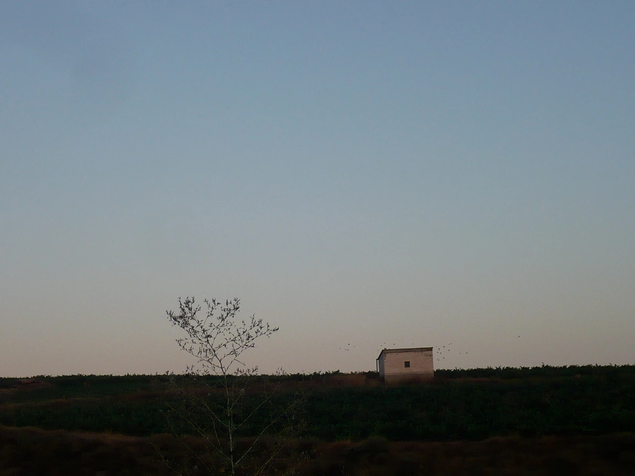 Day 10 to Day 12 027.JPG