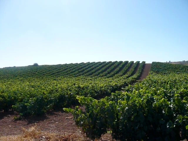 Day 10 to Day 12 075.JPG