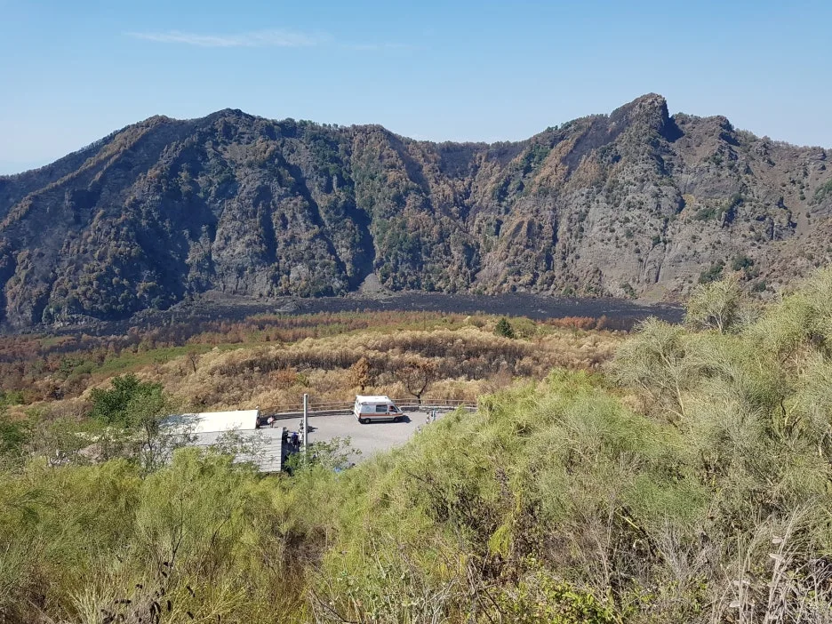 20170815_153529.jpg?type=w1