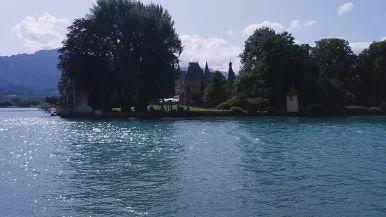 20170820_152652.mp4_20250303_135432.805.jpg?type=w386