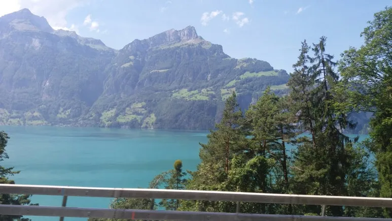 20170818_141123.jpg?type=w773