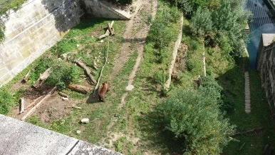 20170819_170816.jpg?type=w386