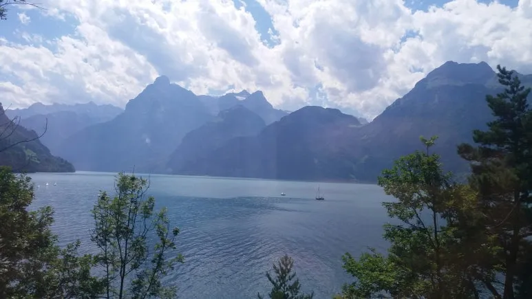 20170818_141419.jpg?type=w773